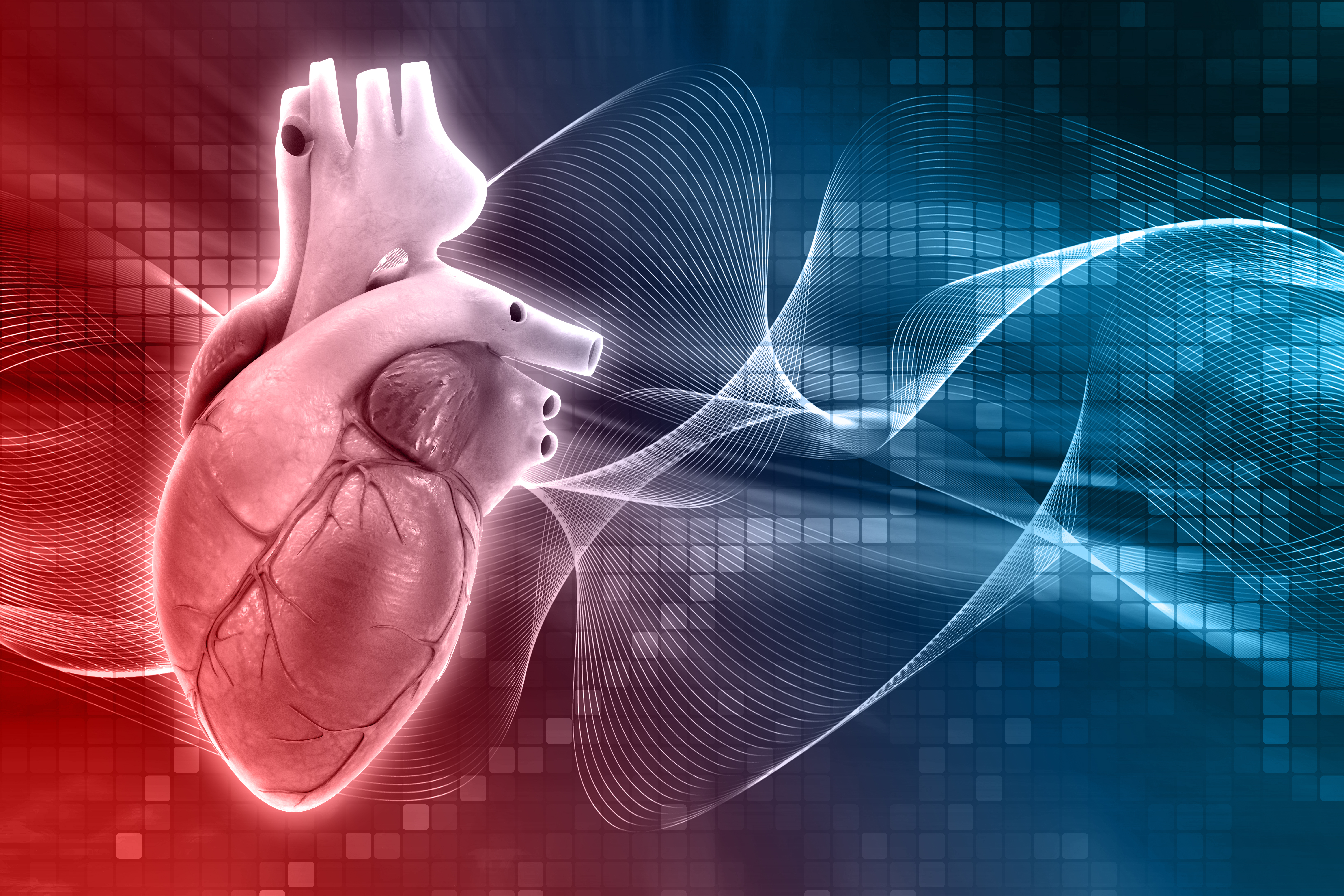 Heart mesh alleviates stubborn angina in 1st US procedure