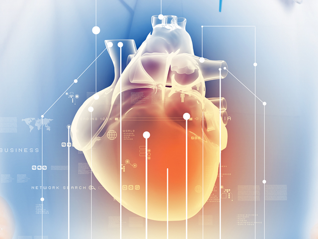Highlighting the role of global longitudinal strain assessment in valvular  heart disease, The Egyptian Heart Journal