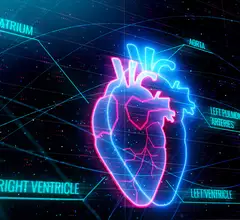 AI cardiology heart artificial intelligence deep learning