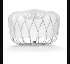 Left atrial appendage occlusion (LAAO) with the Watchman FLX device from Boston Scientific is associated with positive outcomes and limited adverse events after one year, according to new findings published in Circulation: Cardiovascular Interventions.[1] Many prior Watchman FLX studies, including PINNACLE FLX, had focused on the device’s performance in a controlled setting. The study’s authors hoped to gain a better understanding of its real-world impact by reviewing registry data from more than 97,000 U.S