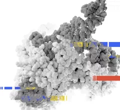 Gene editing software image from Scribe Therapeutics for its STX-1150 drug to treat LDL-C.