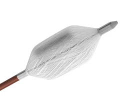 KardiaPSI Balloon Catheter Corvention