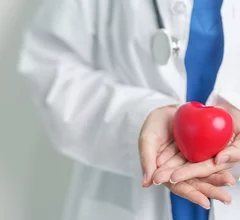 cardiologist heart model doctor