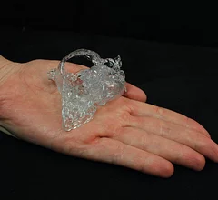 3D-Heart-NYP.jpg Thumbnail