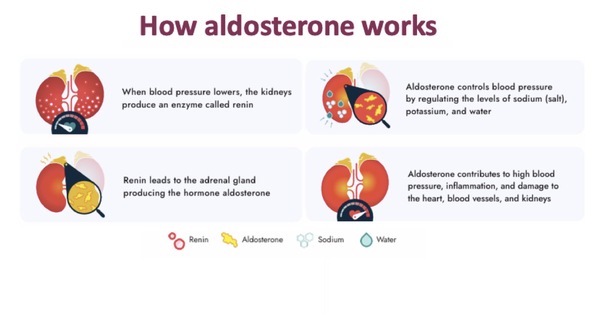 FDA approves first-in-class hypertension drug from AstraZeneca