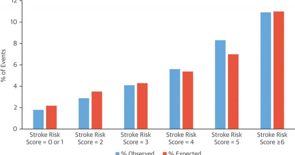 Researchers develop stroke risk score for patients with MI, heart ...