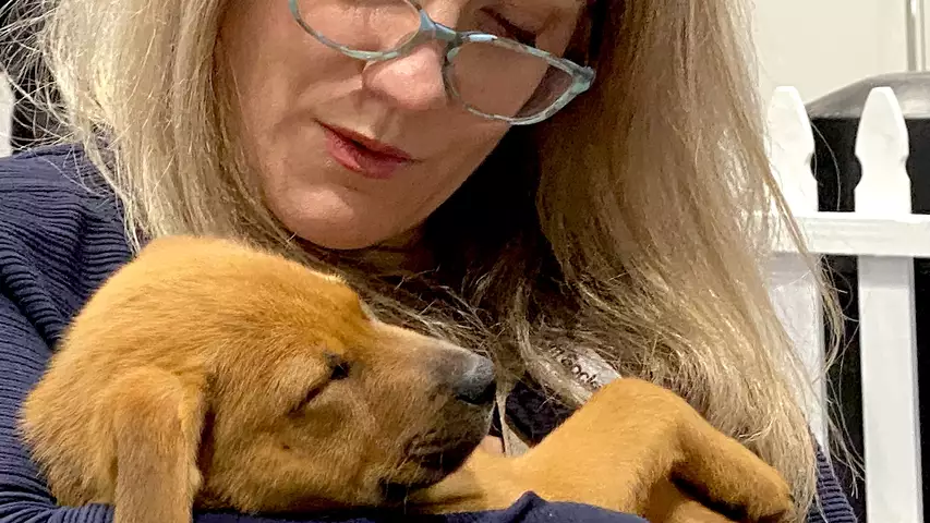Dog being held by HRS 2023 attendee on the expo floor at relaxation booth a dog rescue