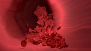 red-blood-cell-4256710_960_720.jpg