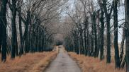 rural small town country road