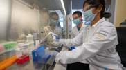 heart stem cell research lab