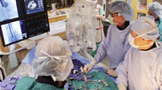 A transcatheter aortic valve replacement (TAVR) procedure being performed at Intermountain Healthcare. Image from Intermountain Healthcare. Sex differences in TAVR one-year mortality.