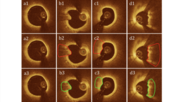 . Plaque erosion detection by the proposed AI algorithm in four cases, with each column showing one case. From top to bottom are the original images, ground truth, and predicted plaque erosion by our proposed method respectively.