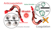 anticoagulation UNC Charlotte RNA DNA 