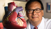 Jianyi "Jay" Zhang, MD, PhD, is leading research on growing new heart muscle cells