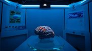 MRI-themed escape room University of Oxford