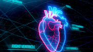 AI cardiology heart artificial intelligence deep learning