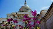 bipartisan house task force on artificial intelligence 