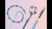 Biosense Webster, part of Johnson & Johnson MedTech, shared updated data on its Varipulse pulsed field ablation (PFA) system at AF Symposium 2024 in Boston. 