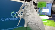 Cytokinetics heart on gthe ACC24 show floor.