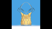 Sahajanand Medical Technologies (SMT) Hydra TAVR