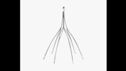 Argon Medical Devices Option Elite IVC filter