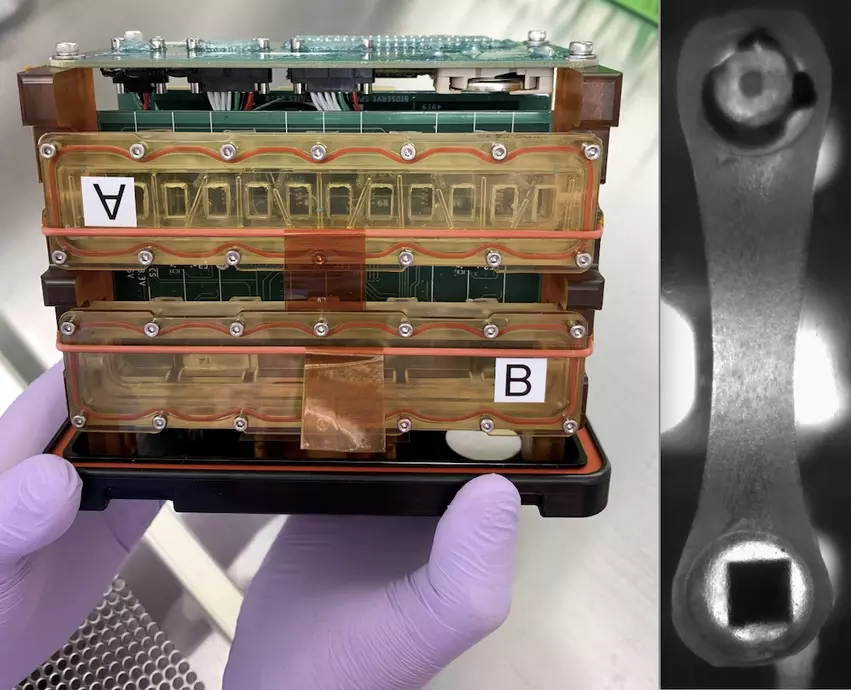 Johns Hopkins Medicine researchers collaborating with NASA launched human heart “tissue-on-a-chip” specimens to the International Space Station (ISS) March 14. The cardiac myocytes will be monitored for impacts in pumping ability in the microgravity of space. Drugs will be tested o see if they improve pumping function. The right photo shows a closeup of the myocytes attached to two posts that measure contractility. Photos from Johns Hopkins 