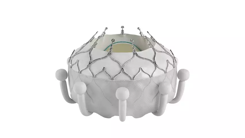 Edwards Lifesciences gained European CE mark approval for Evoque transcatheter tricuspid valve replacement (TTVR) system.