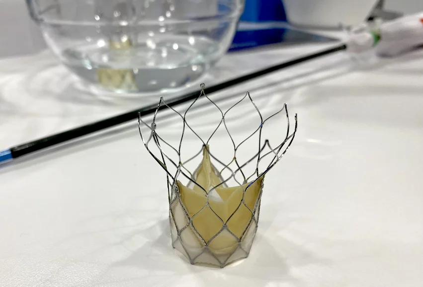 Navitor TAVR valve in the Abbott booth at TCT 2023. Photo by Dave Fornell
