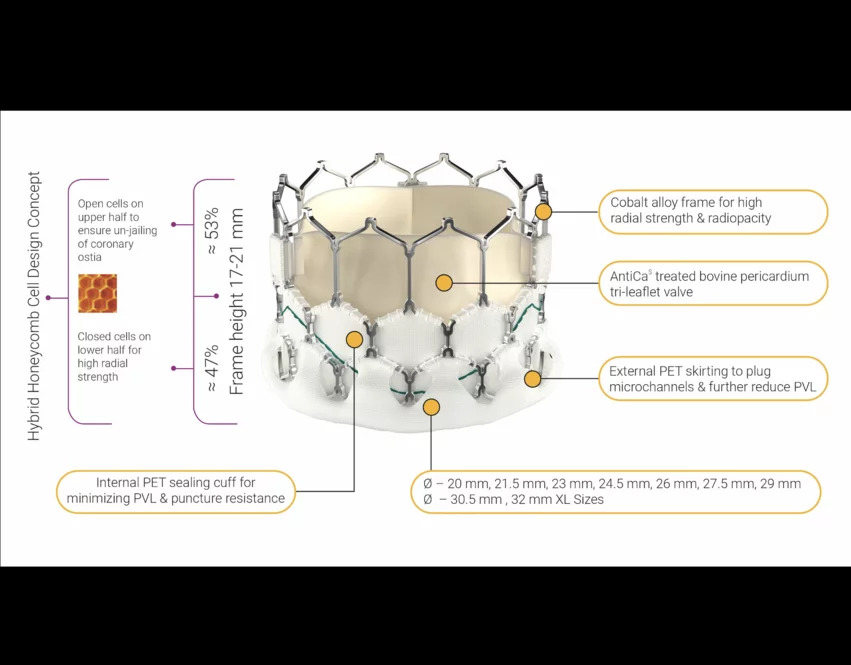 Meril Life Sciences, an India-based medical device company founded in 2006, developed the Myval TAVR valve. The Myval transcatheter heart valve (THV) is non-inferior to the Sapien 3 THV after one year, according to new transcatheter aortic valve replacement (TAVR) data published in The Lancet.