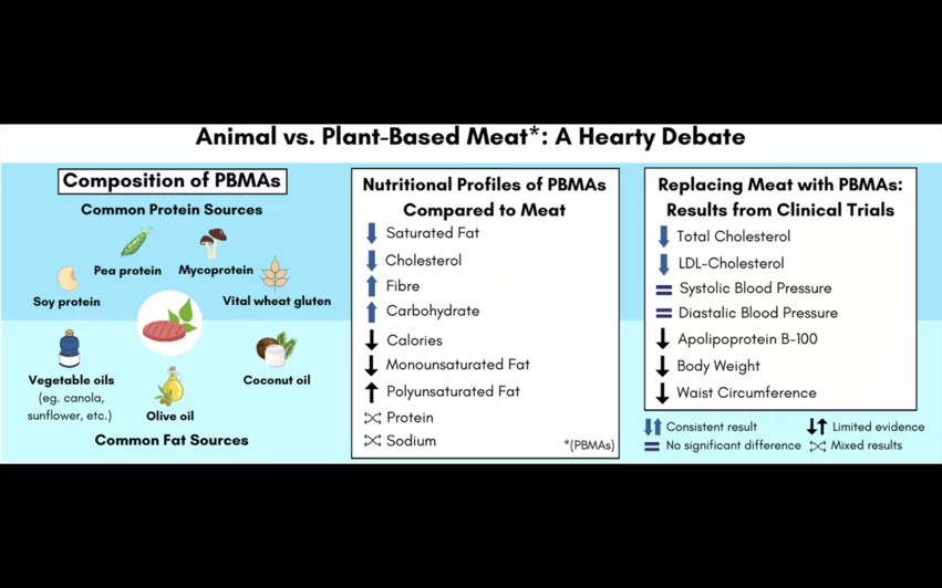 animal-based meat vs plant-based meat