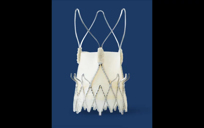 Boston Scientific Acurate Neo TAVR valve