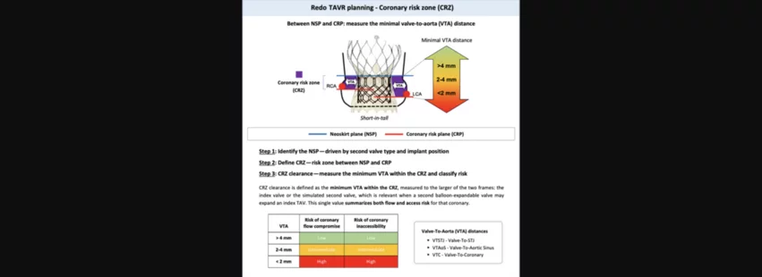 redo TAVR coronary risk zone