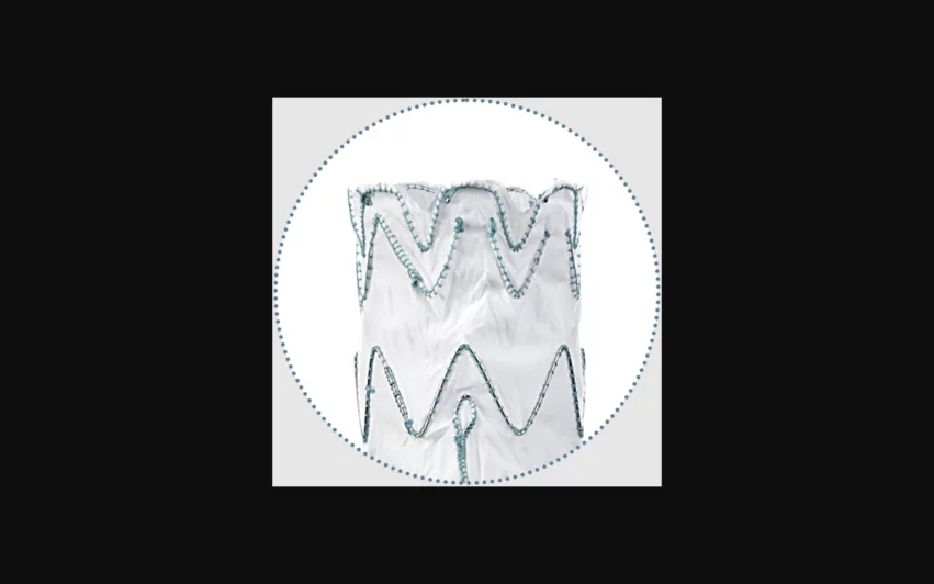 The U.S. Food and Drug Administration (FDA) is warning the public about a potential safety issue with certain Relay Pro Thoracic Stent Grafts from Terumo Aortic. 