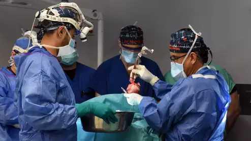 Surgeons with University of Maryland Medical Center transplant a pig heart into a human patient