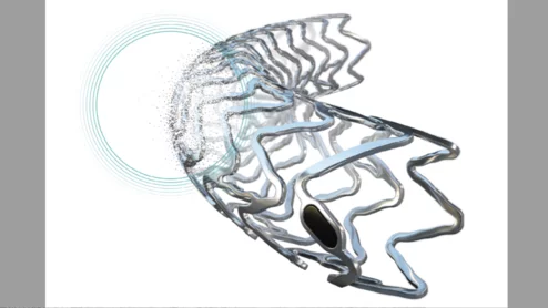 Biotronik has received the FDA’s breakthrough device designation for its Freesolve below-the-knee resorbable magnesium scaffold (BTK RMS) for patients with chronic limb-threatening ischemia (CLTI).