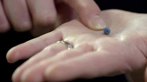 The Amplatzer Piccolo Occluder for transcatheter patent ductus arteriosus (PDA) closure in premature infants. Photo courtesy of Abbott.