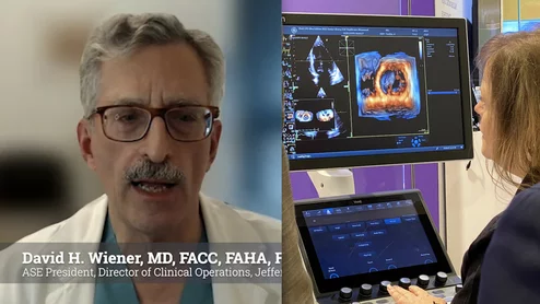 American Society of Echocardiography (ASE) President David H. Wiener, MD, FACC, FAHA, FASE, director of clinical operations at the Jefferson Heart Institute, and a clinical professor of medicine at Thomas Jefferson University, explains the growing number of multimodality cardiac imaging experts and how imaging societies need to change to meet their needs. 