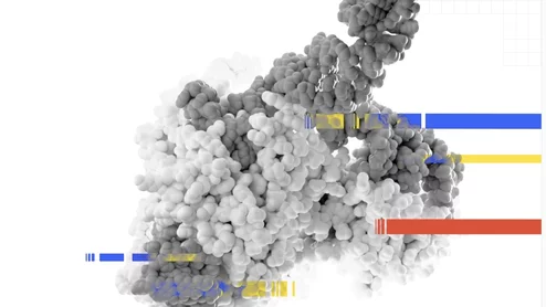 Gene editing software image from Scribe Therapeutics for its STX-1150 drug to treat LDL-C.