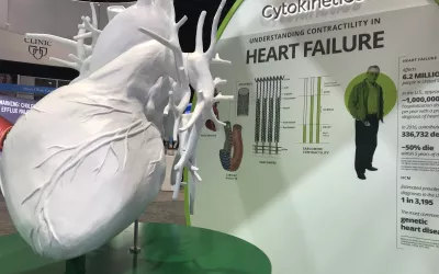 Many attendees shot selfies in front of the the massive heart on display in the Cytokinetic booth at AHA 2022.
