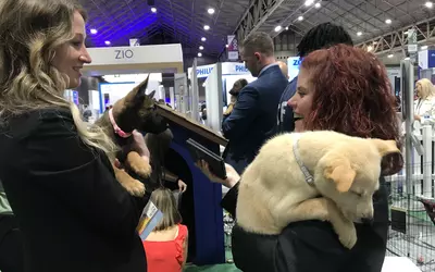 The rest and relaxation lounge for ACC23 attendees where they could hold, pet and play with puppies. #ACC #ACC23