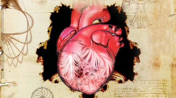 Collaborators from a number of international centers, led by the European Molecular Biology Laboratory-European Bioinformatics Institute, published their findings Wednesday in Nature. Using MRI scans, along with morphology and genetic data, they showed that this network of heart muscle fibers—known as the trabeculae—can influence the heart’s performance.