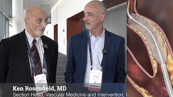 Video - Ken Rosenfield, MD, MGH, and William Gray, MD, Lankenau Heart, explain impact of new CMS coverage for carotid stenting.