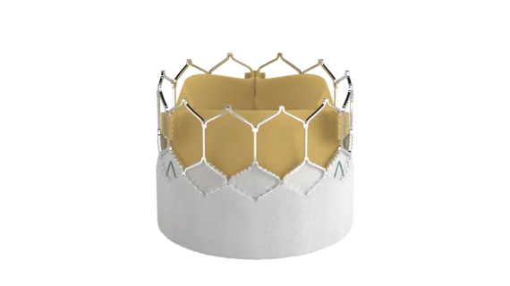 The Sapien 3 Ultra Resilia TAVR valve. Images courtesy of Edwards Lifesciences. 