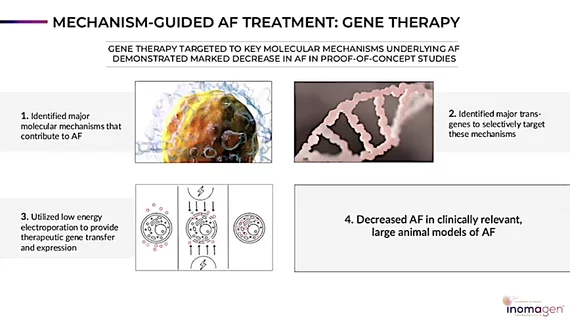  Inomagen Therapeutics Inc. is developing a gene therapy to treat atrial fibrillation (AFib) that will be delivered using electroporation directly into cardiac cells.